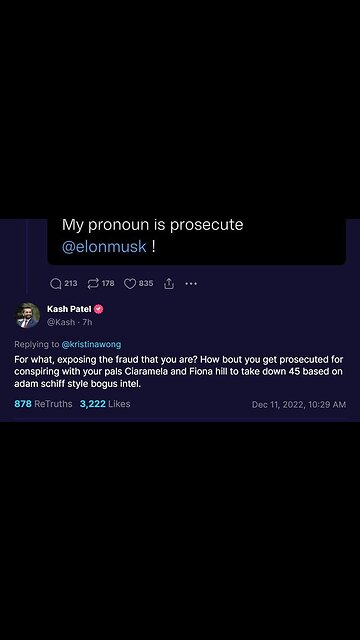 HOW MUCH ADAM SCHIFF HATE ELON MUSK - DEPLORABLE420SUNFLOWER