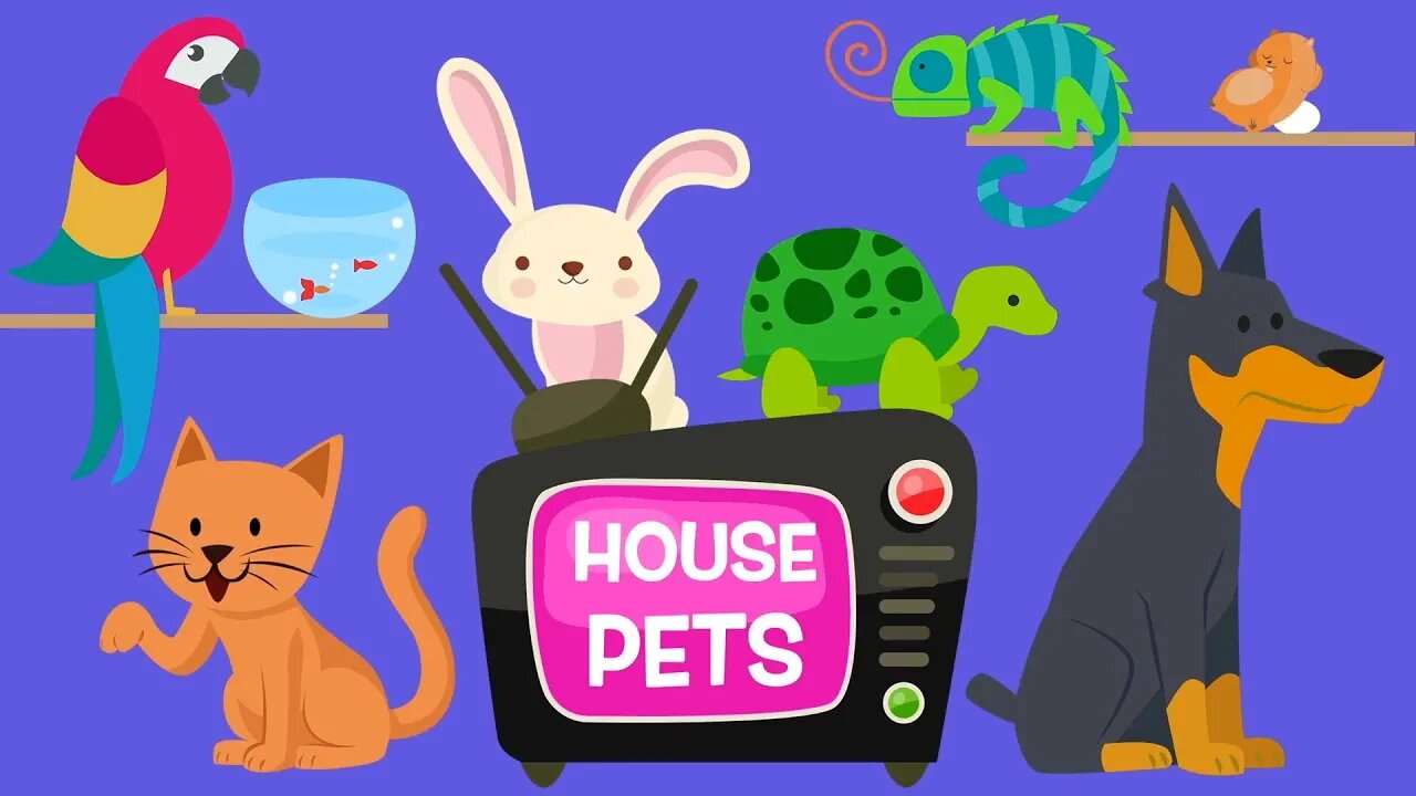 House Pets videos for babies toddlers kids Little Genius