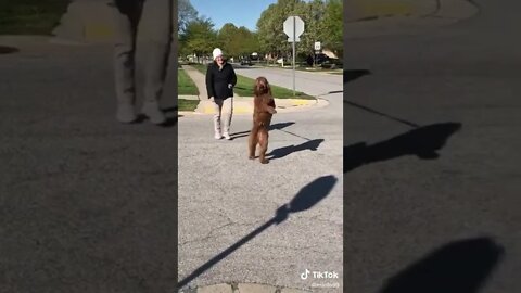 The way she crosses the street