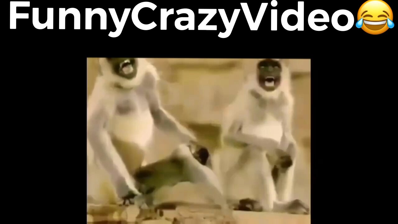 Mr FunnyCrazyVideo😂 Just Incredible Video Funny and Crazy #Like Follow for Follow 🥰