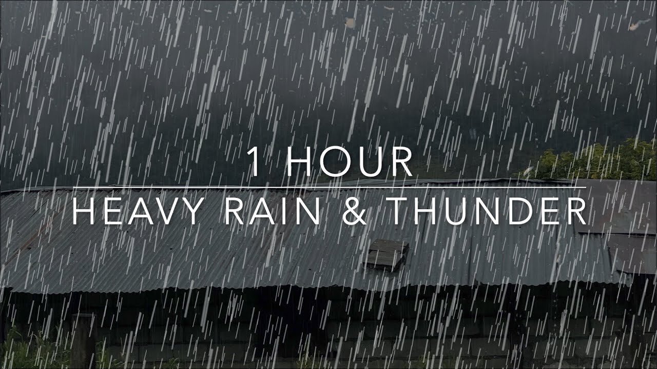 Sleeping Rain Sounds - Heavy Rain & Thunder - 1 Hour Rain - ASMR Sleep