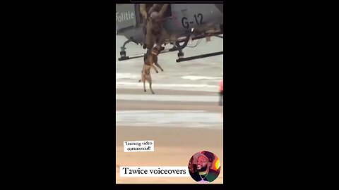 T2wice voiceovers