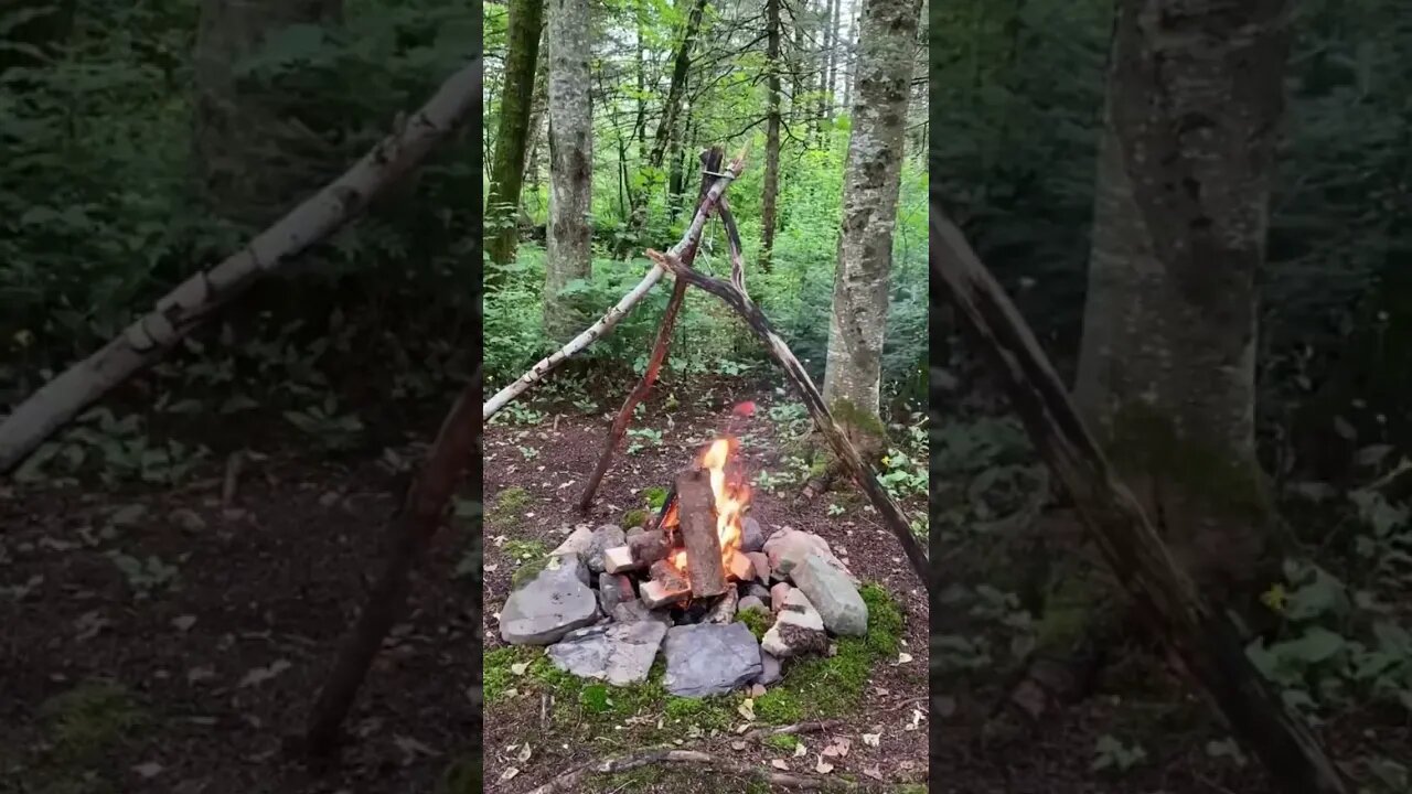bushcraft breakfast #bushcraft