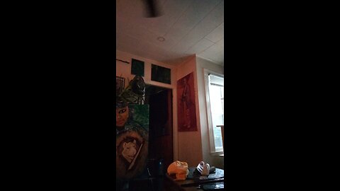 the night I had an encounter with the tall greys