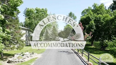 Alesches’ Accommodations