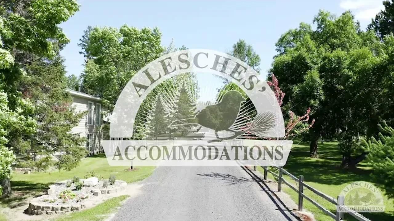 Alesches’ Accommodations