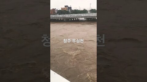 청주 무심천 실시간