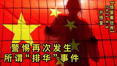 KWT2227警惕再次发生所谓“排华”事件20210808-12【悟里看世界】