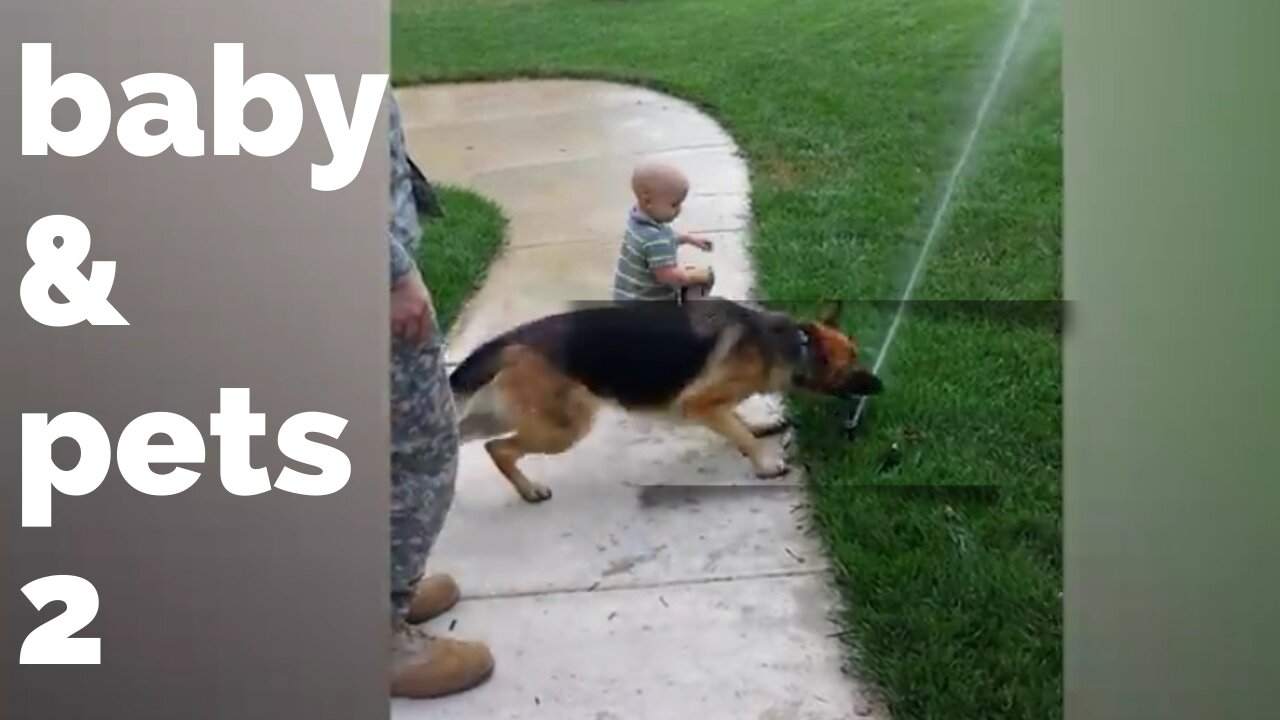 BABY and PETS 2