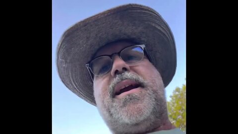 Are the brains really ball bearings?