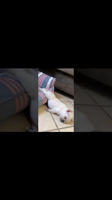 That takes chillin to a new level 😂