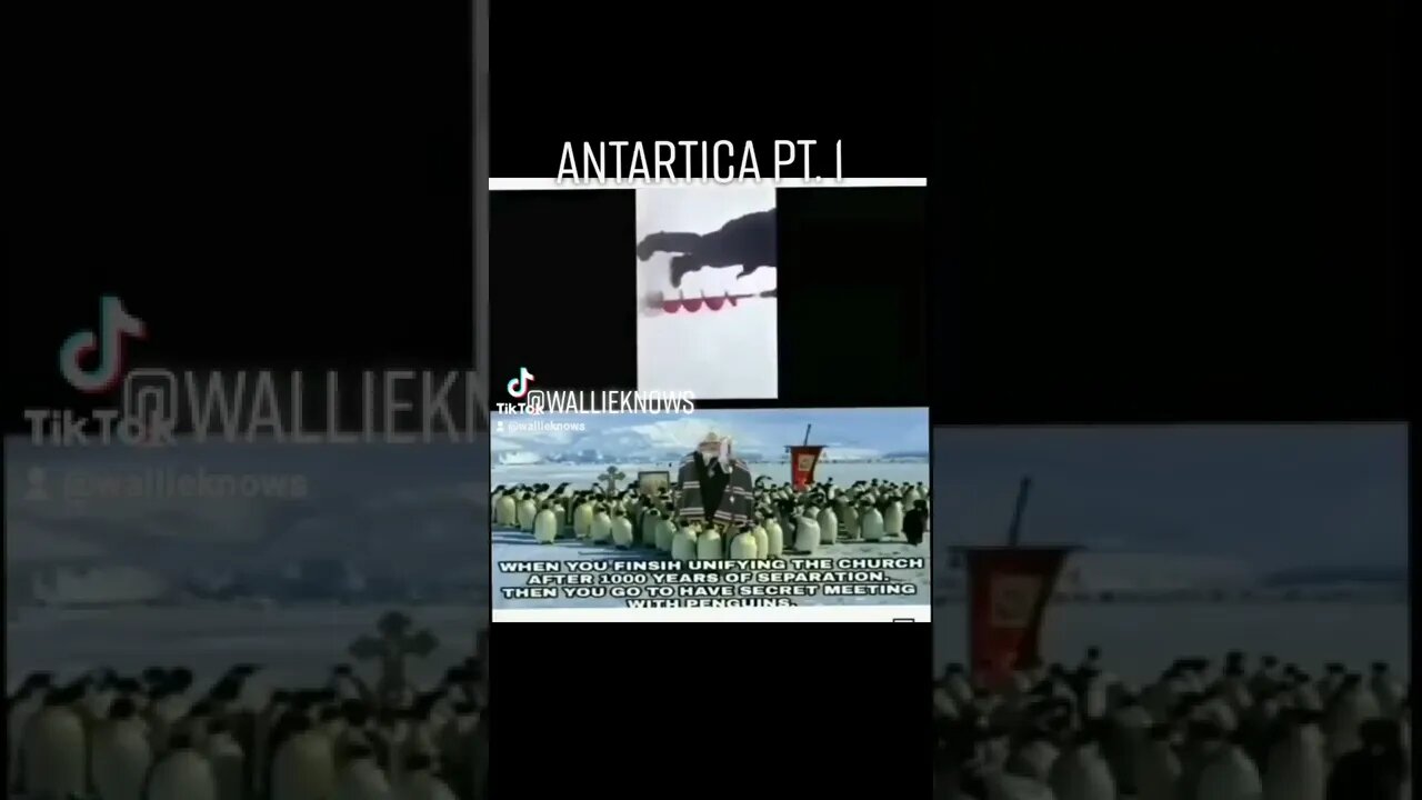 Antartica PT.1