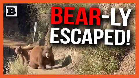 BEAR-LY ESCAPED! Runner Has TERRIFYING Encounter With Mama Bear and Cubs