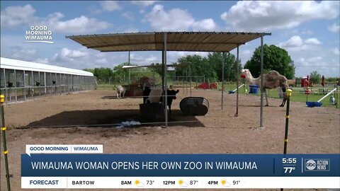 Wimauma woman starts petting zoo during pandemic