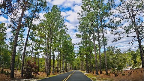 Driving From Singletary Lake State Park to Moores Creek National Battlefield Park - North Carolina