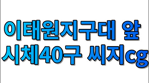 이태원지구대 앞 시체40구 씨지cg (1080p)