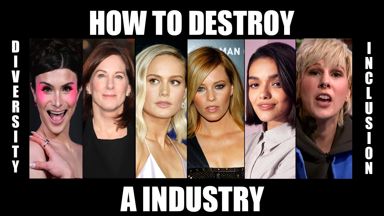 When Diversity & Inclusion Destroys an Industry.