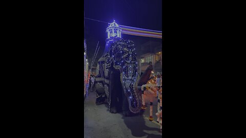 Amazing Sri Lankan Tusker Elephant Decorated for a Procession!