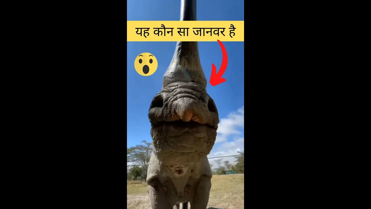 यह कौन सा जानवर है😱What animal is this👈