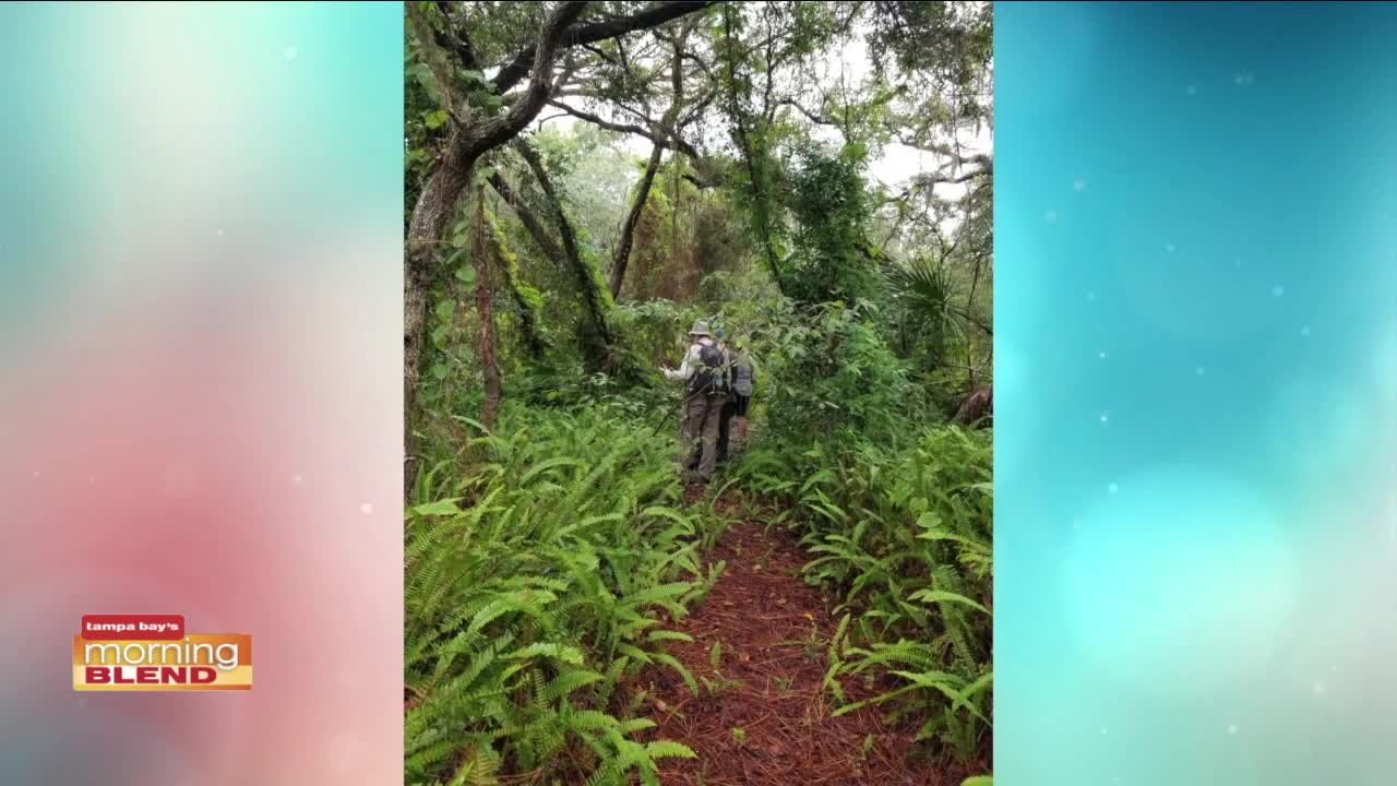 West Klosterman Preserve | Morning Blend