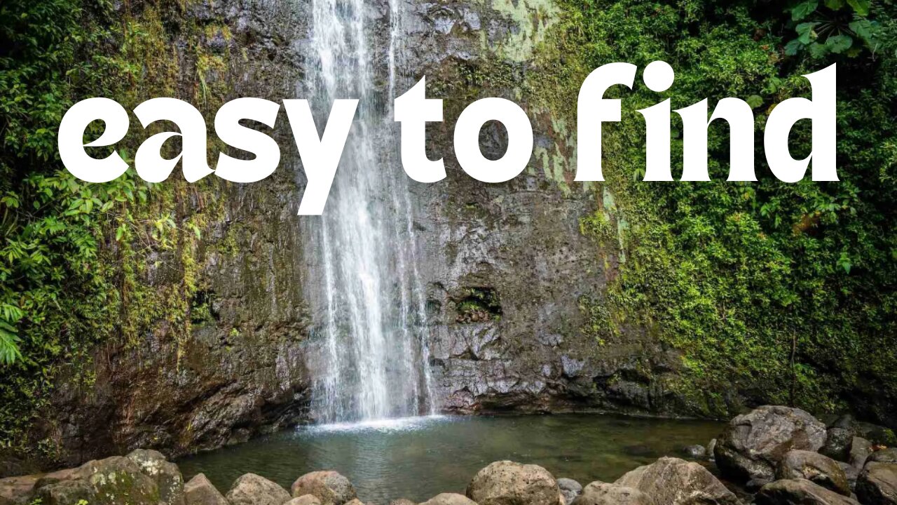 Hawaii's Mānoa Falls and Famous Malasada Donuts