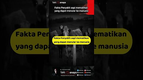 Fakta penyakit sapi mematikan yang dapat menular ke manusia #Shorth