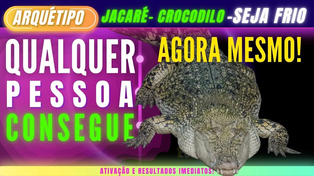 Ative o Arquétipo do Jacaré/Crocodilo e não seja mais feito de bobo - Resultados imediatos