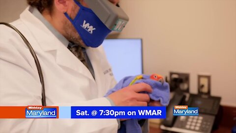 Gambrills Veterinary Center - The Miracle Vet