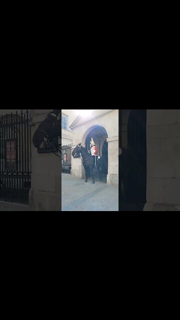 Hands off the Reins #horseguardsparade