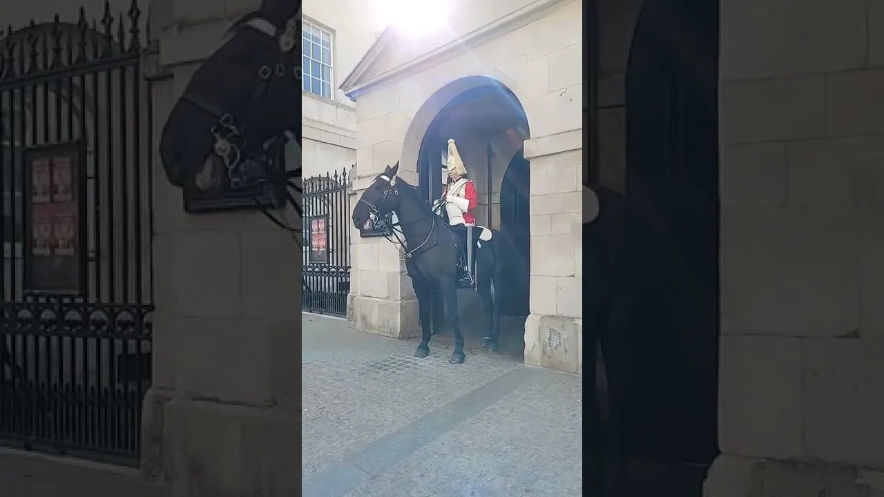 Hands off the Reins #horseguardsparade