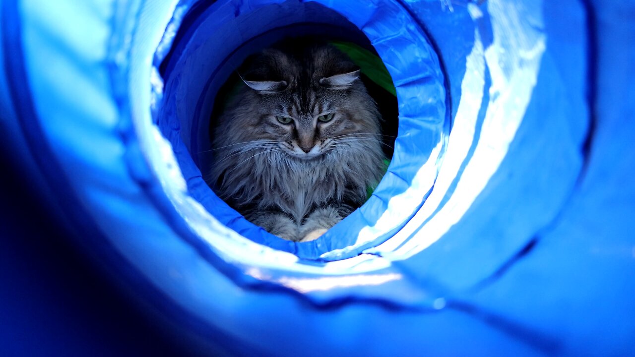 Leia Playing in a Tunnel