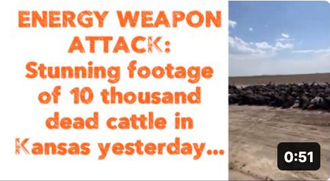 ENERGY WEAPON ATTACK: Stunning footage of 10 thousand dead cattle in Kansas yesterday...