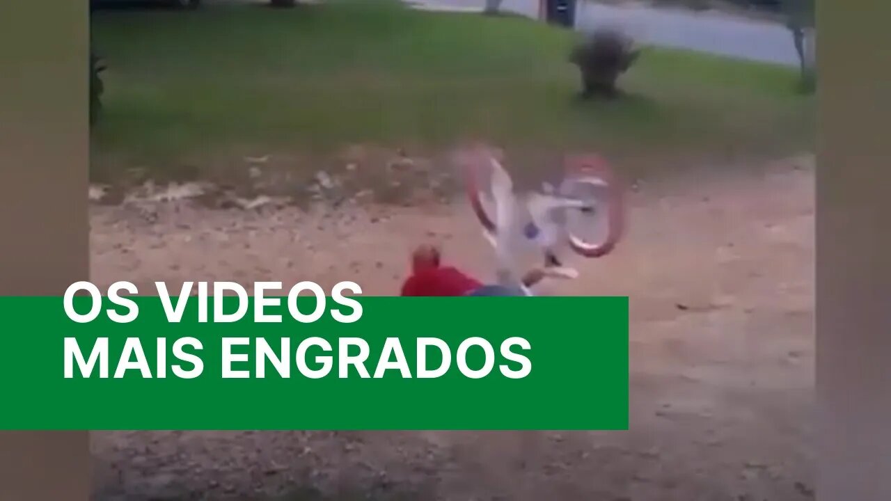 Videos story Engraçados - Os Videos mais Engraçados