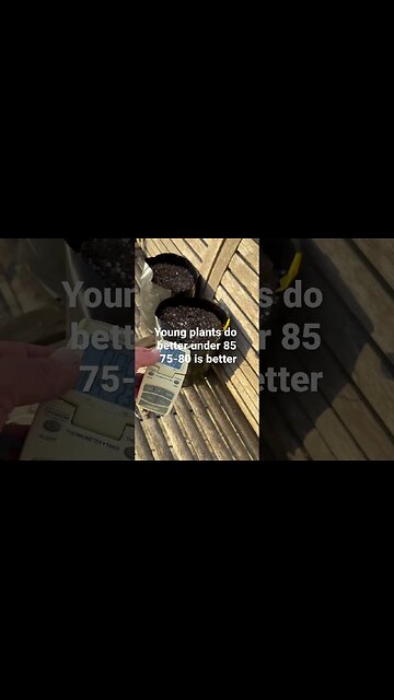 Black Grow Bags #bubba #gardeningtips #garden