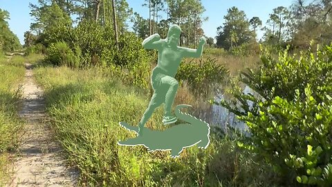 RUNNING WILD FLORIDA LAUNCH!