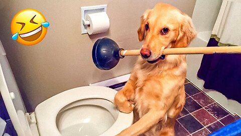 Funny Animal Videos 2023 😂 - Best Dogs And Cats Videos 😺😍