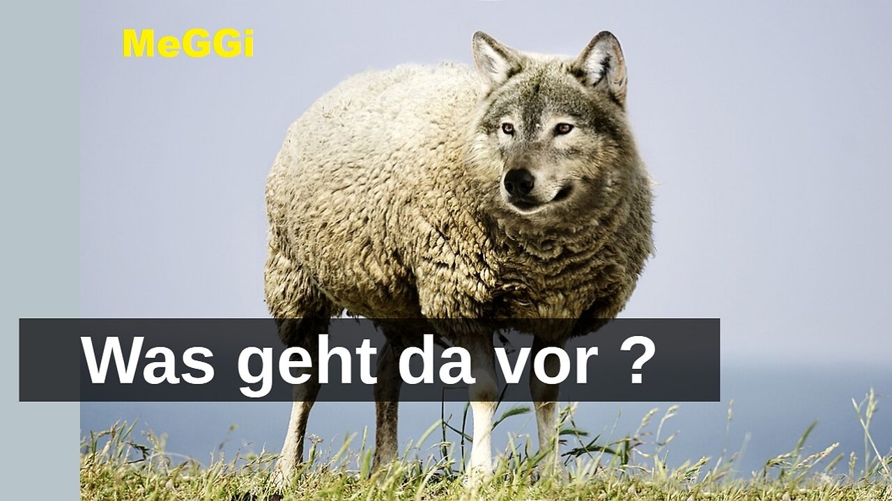 MeGGi - Was geht da vor ?