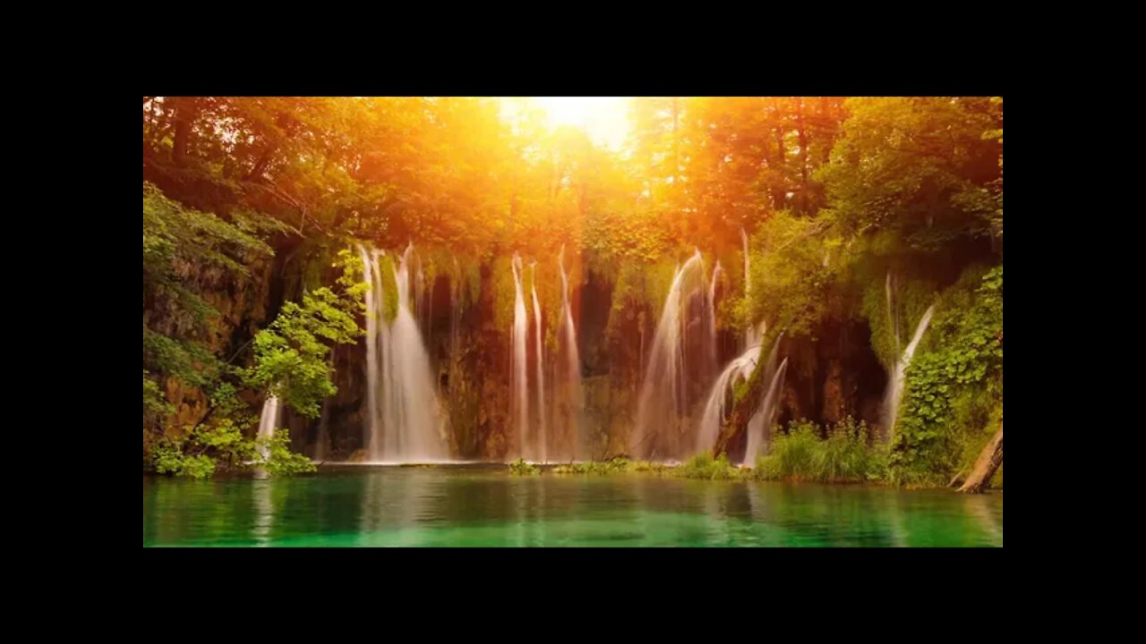 Waterfall Sounds with Birds Chirping in the Forest | Sleep, Relaxation, Meditation, Study