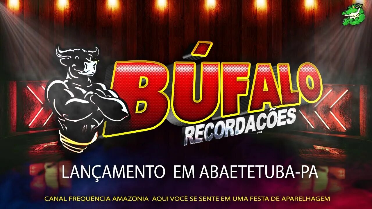 Cd Bufalo Recordações - Lançamento em Abaetetuba Ano 2013 (( dj Iran )) CD relíquea