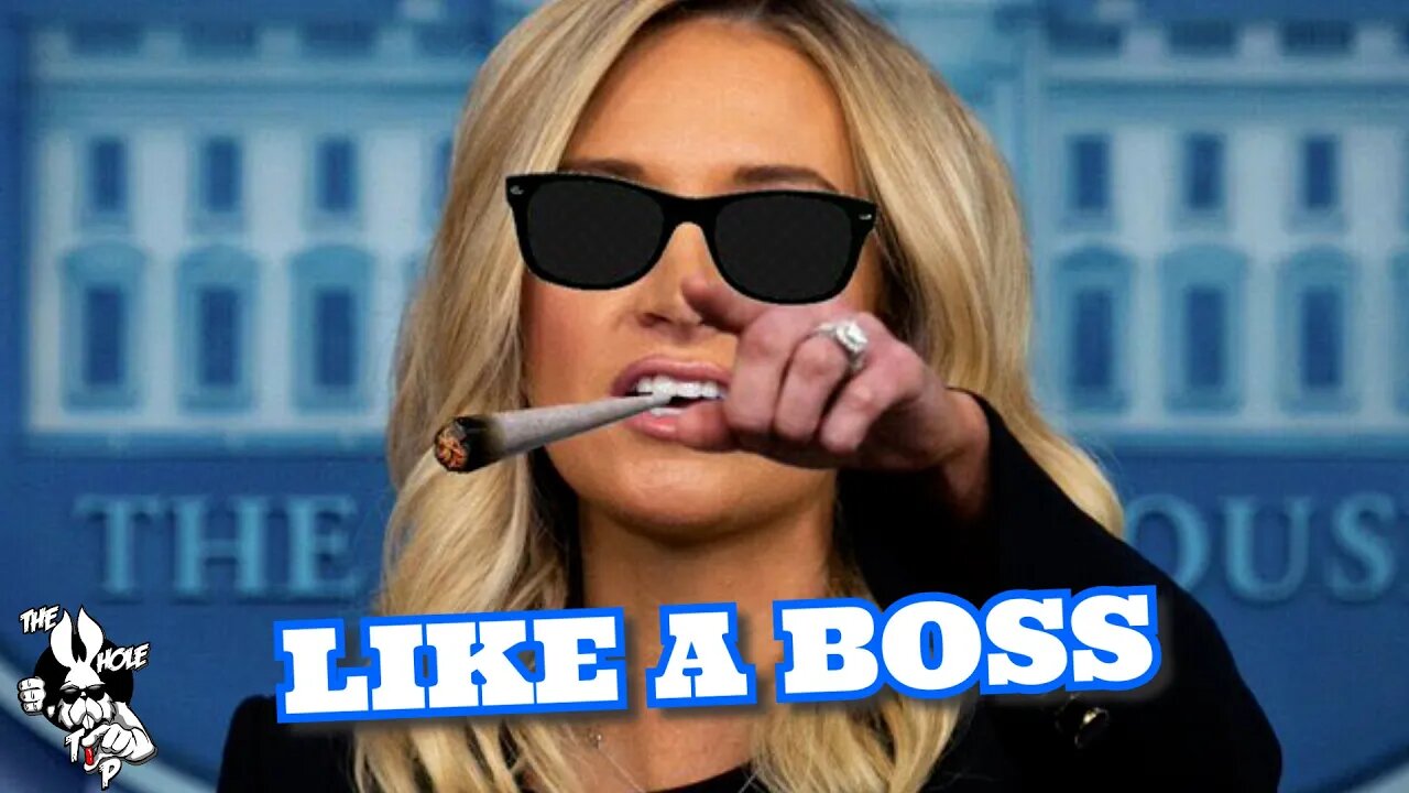 LIKE A BOSS - the Whole Tip Daily