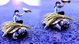 Is I lovely or the turtle lovely