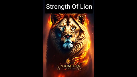 Lion strength - how strong lion is- animals -