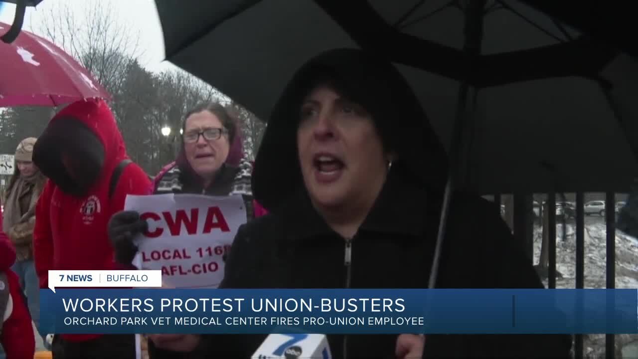 Workers rally to shine spotlight on 'union-busting' efforts at Orchard Park animal hospital