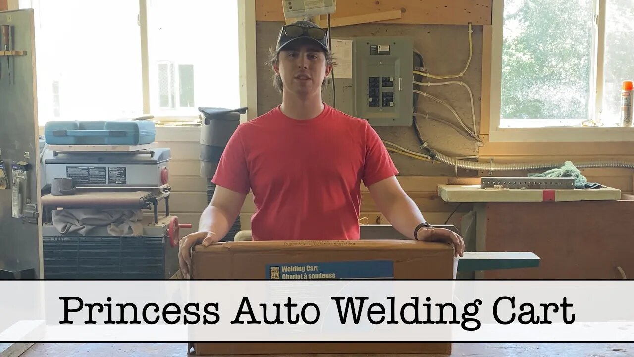 Princess Auto Welding Cart