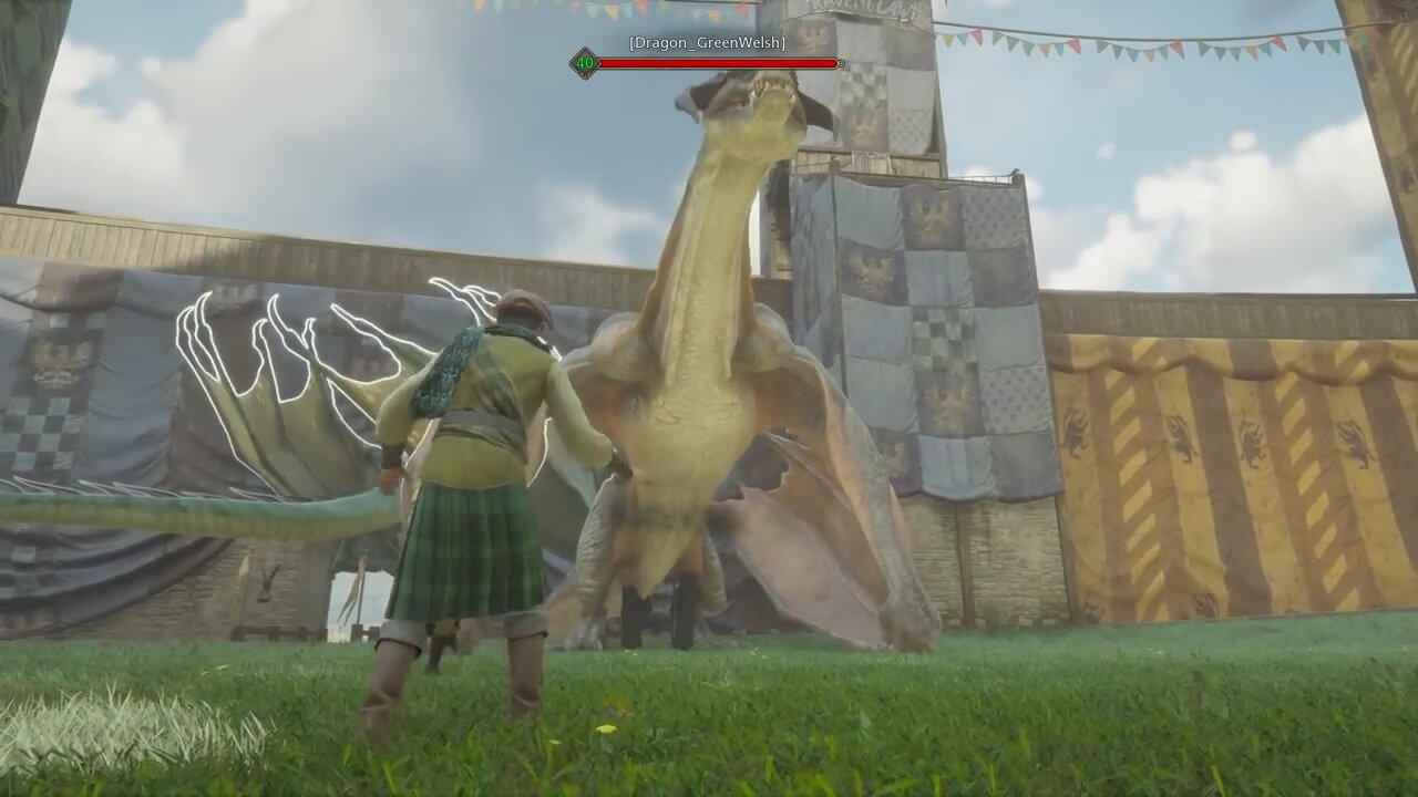 Can you kill a dragon with Avada Kedavra in Hogwarts Legacy?
