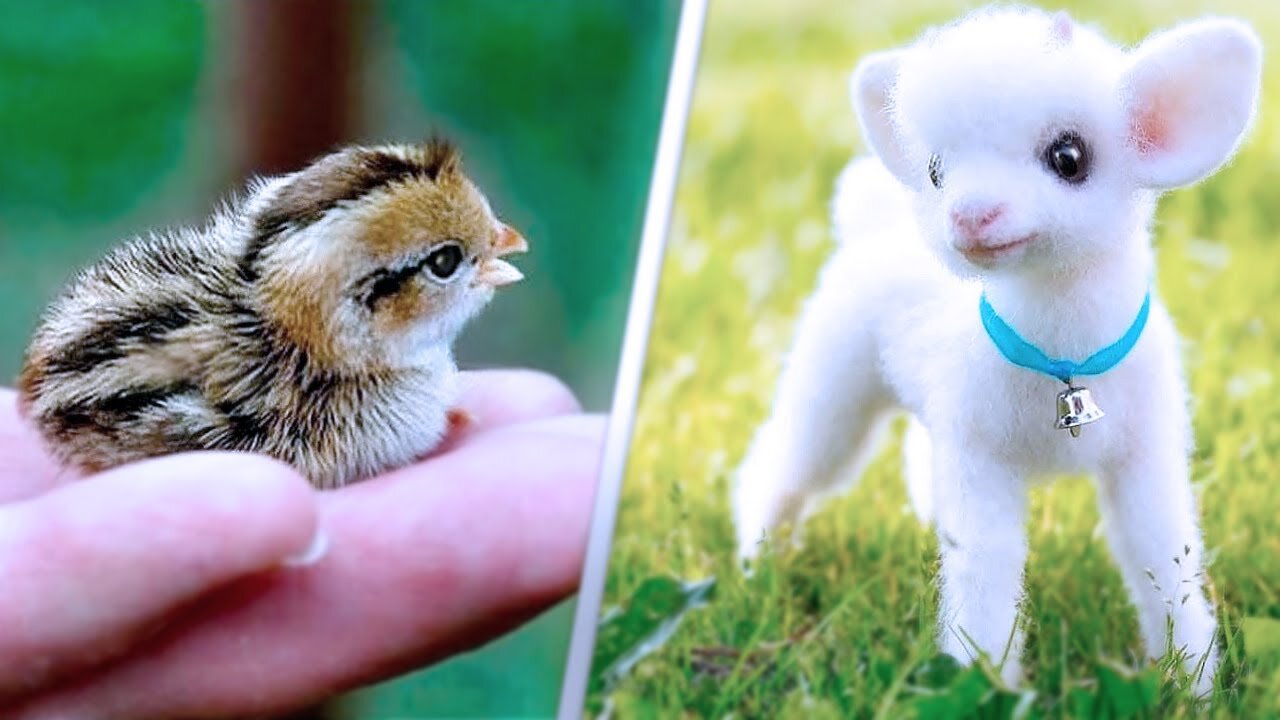 CUTE ANIMALS BABY VIDEOS | BABY ANIMALS VIDEO