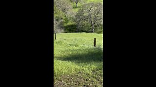 Hidden Lakes Park Hike