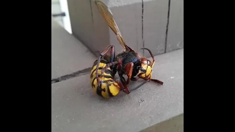 The reason you shouldn't move down South