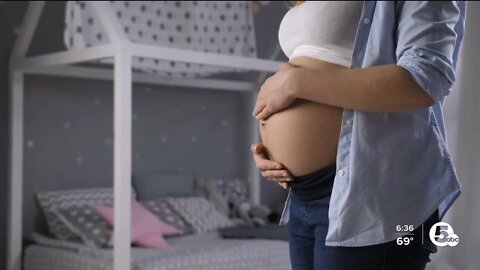 Collaborative research program aims to curb infant mortality, help meet pregnancy nutrition needs