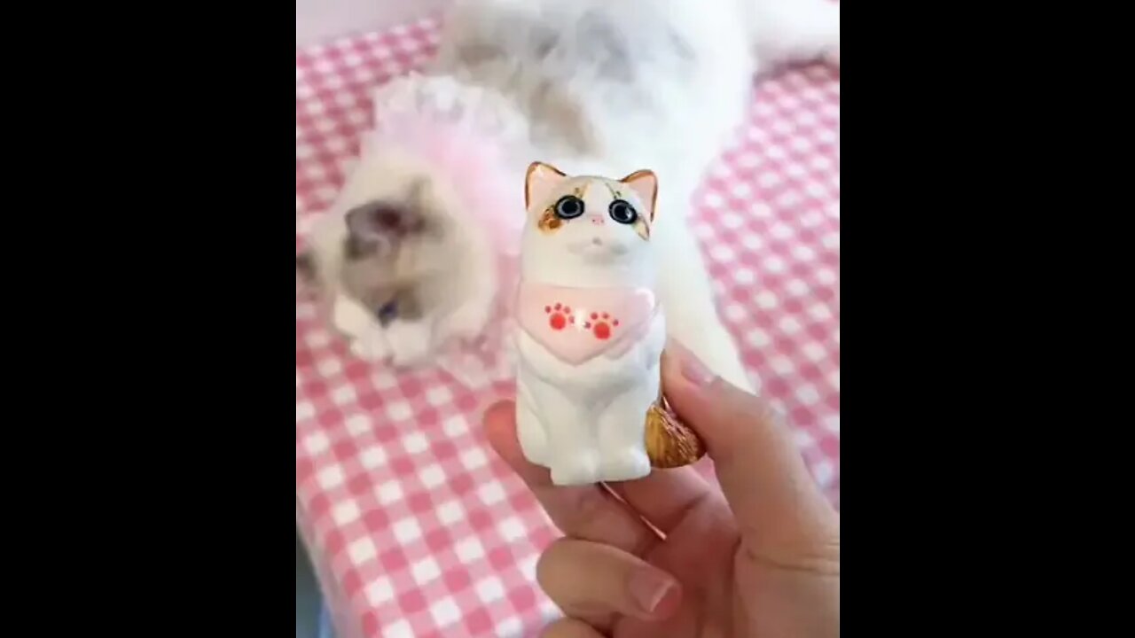 It's magic, gentlemen. From a toy to a cat